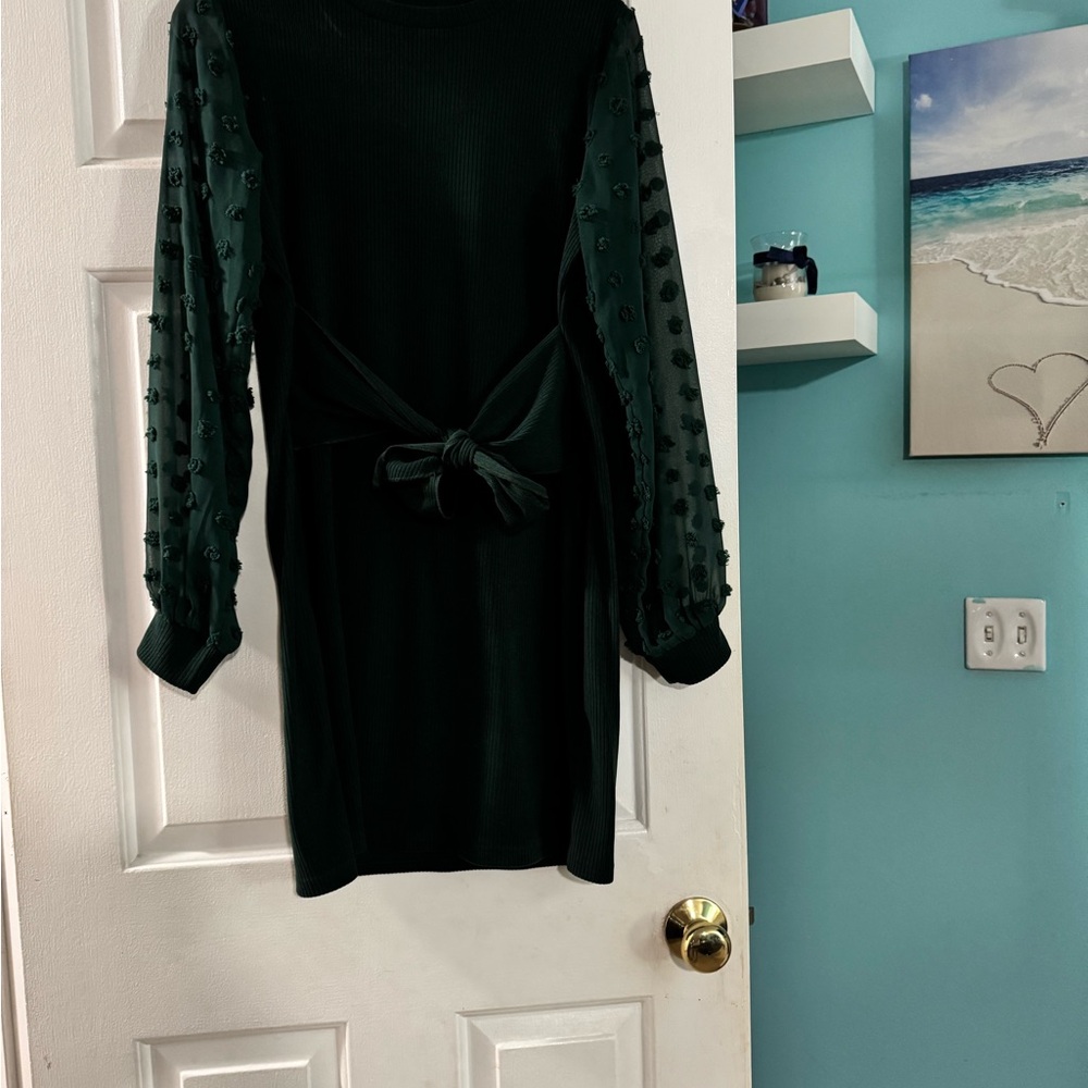 Elegant Green Dress with Textured Sleeves